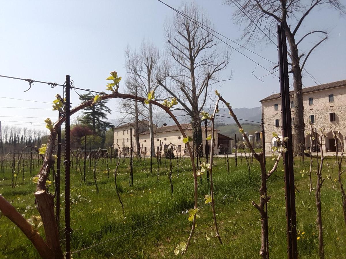 Agriturismo La Bella Follina Extérieur photo